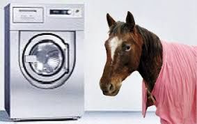 Paardendeken wassen, Soort wasprogramma: Enkel wassen