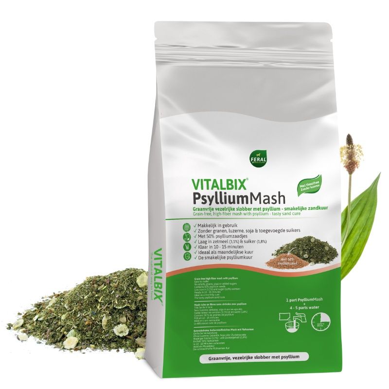 Vitalbix PsylliumMash