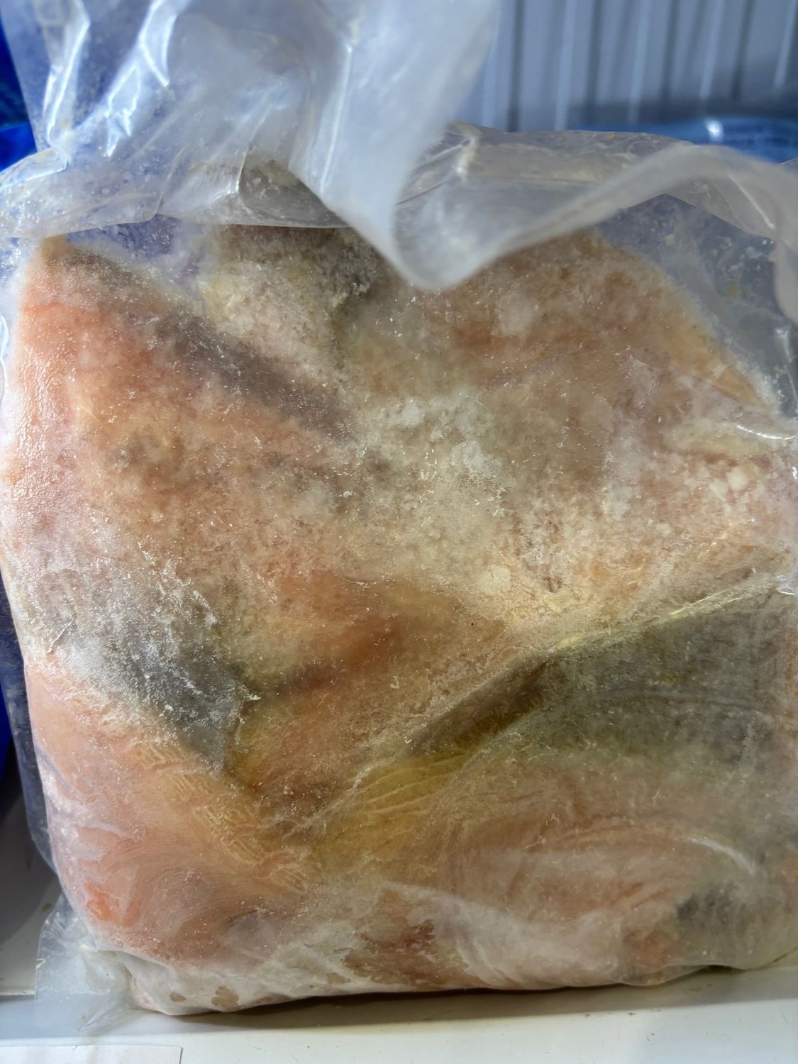Frozen Salmon Offcut Pieces 1kg