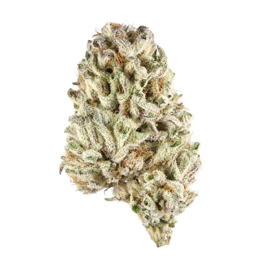 Biscotti THCA Flower 1G