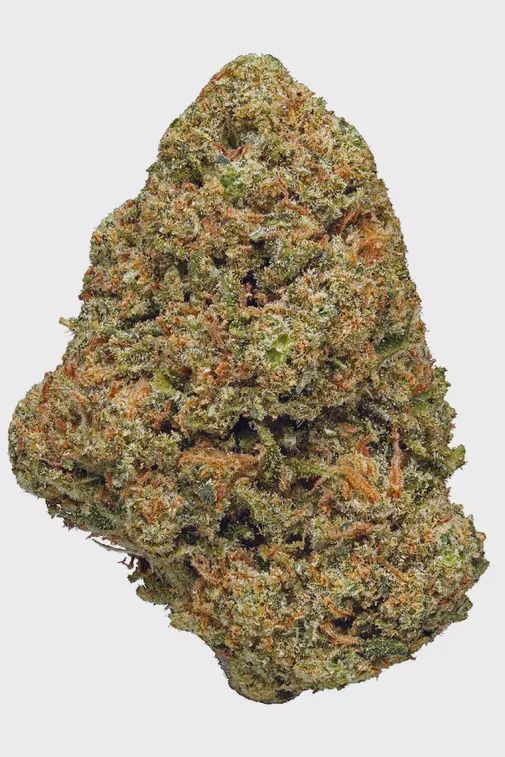 Noir Velvet THCA Flower One Gram