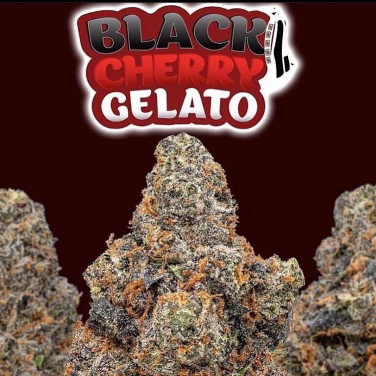 Black Cherry Gelato THCA Flower Half OZ