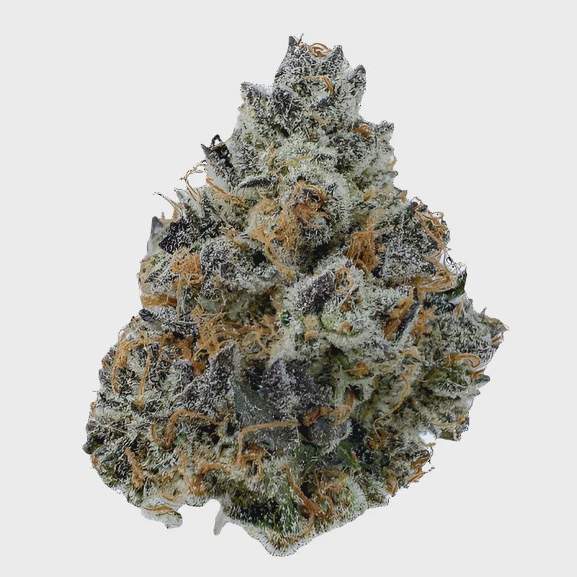 Black Dolphin THCA Flower 3.5 Grams (INDICA)  (Mid Grade)