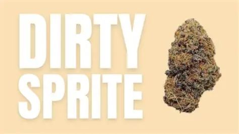 Dirty Sprite THCA Flower One Gram (SATIVA) (High Grade)