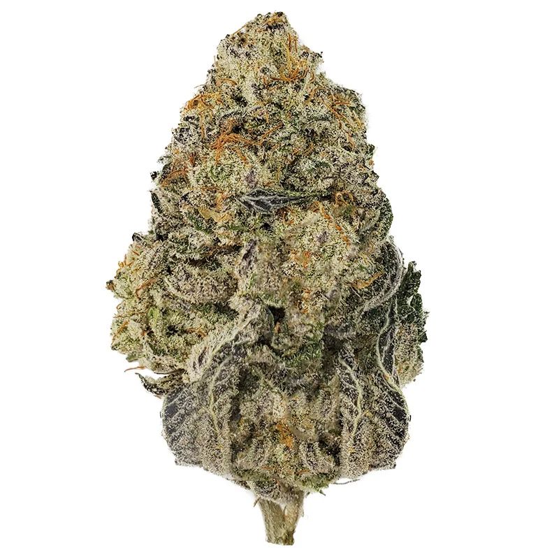 Jealousy THCA Flower One Gram (Sativa) (Low Grade)