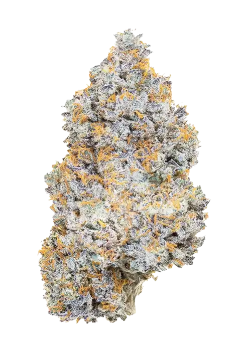 Bitch Slap THCA Flower Seven Grams (INDICA) (High Grade)