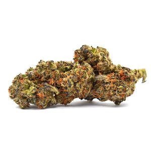 Government Oasis THCA Flower One Gram (Indica) (Low Grade)