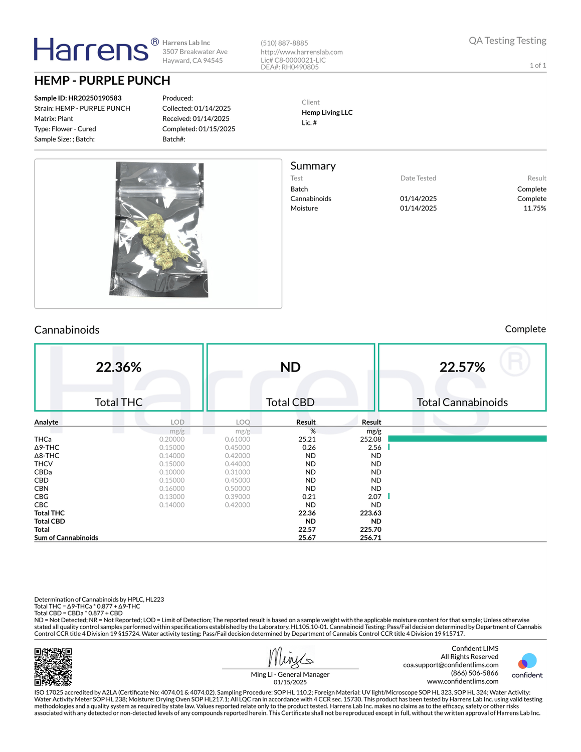 Purple Punch THCA Flower OZ (Indica) (High Grade)