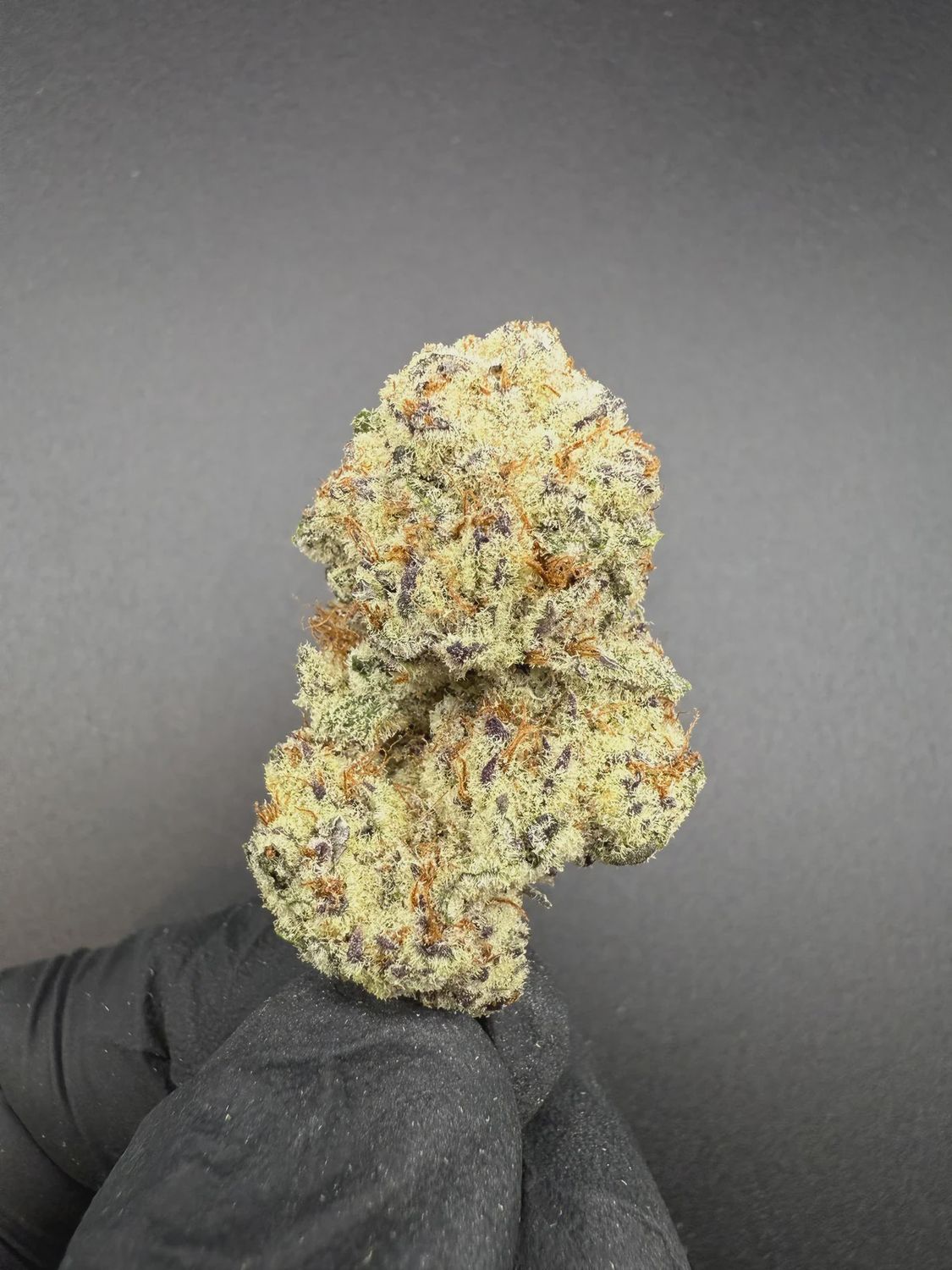 Flex Panther THCA Flower 3.5 Grams (Hybrid) (High Grade)