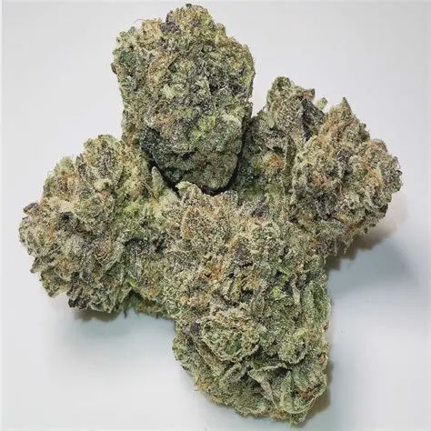 Ice Cream Runtz THCA Flower OZ (Hybrid) (Mid Grade)