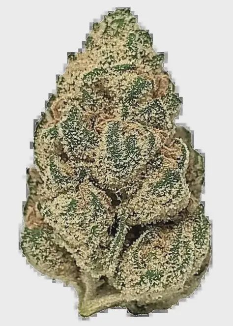 Frozen Grapez THCA Flower Half OZ (Indica) (Mid Grade)