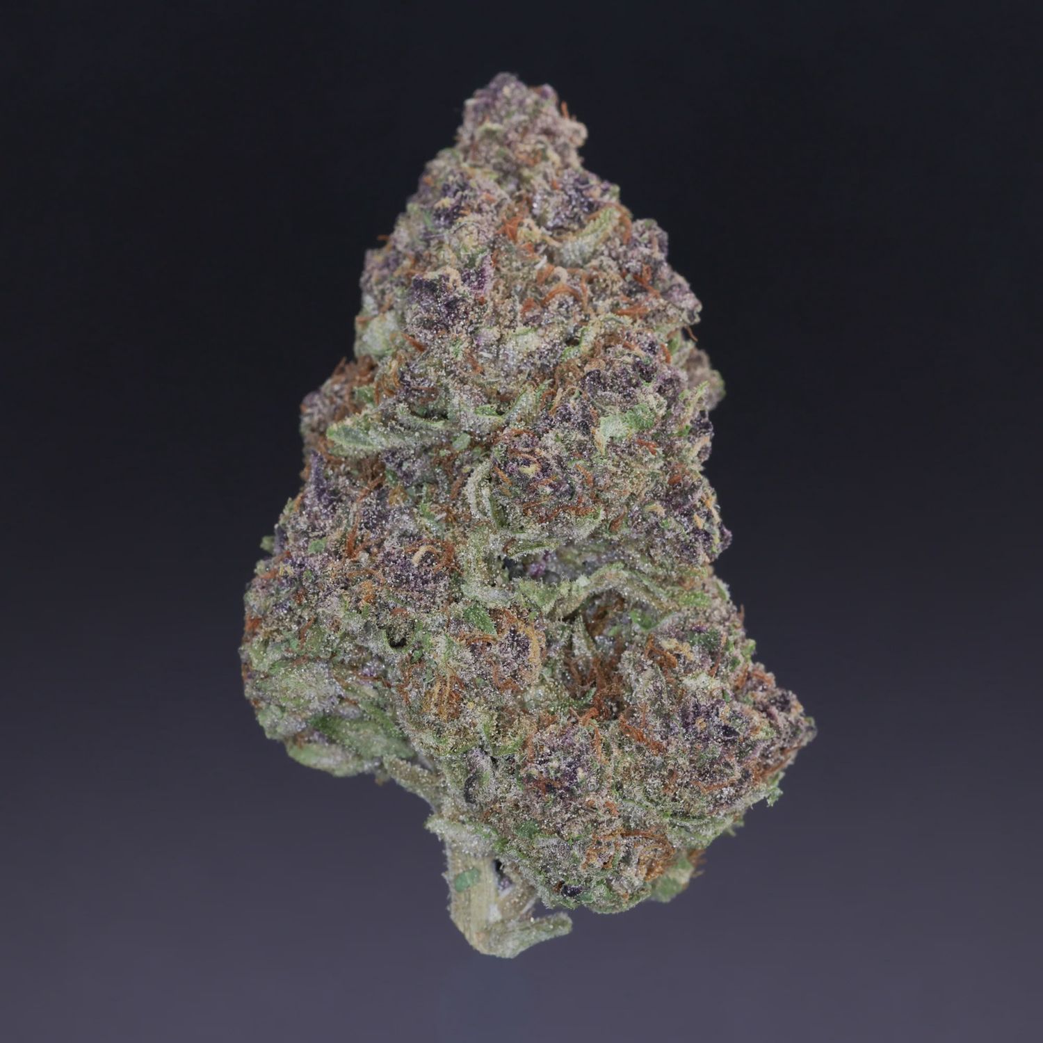 Jungle Soda THCA Flower Seven Grams (Sativa) (Mid Grade)