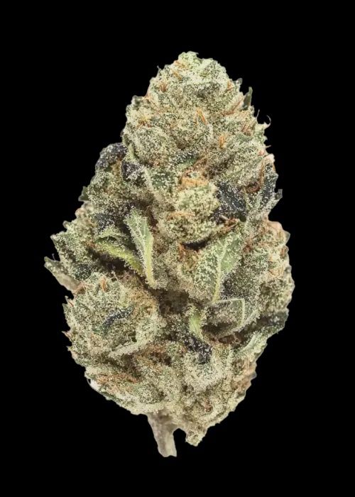 Marshmallow Puffz THCA Flower Half OZ (Sativa) (High Grade)