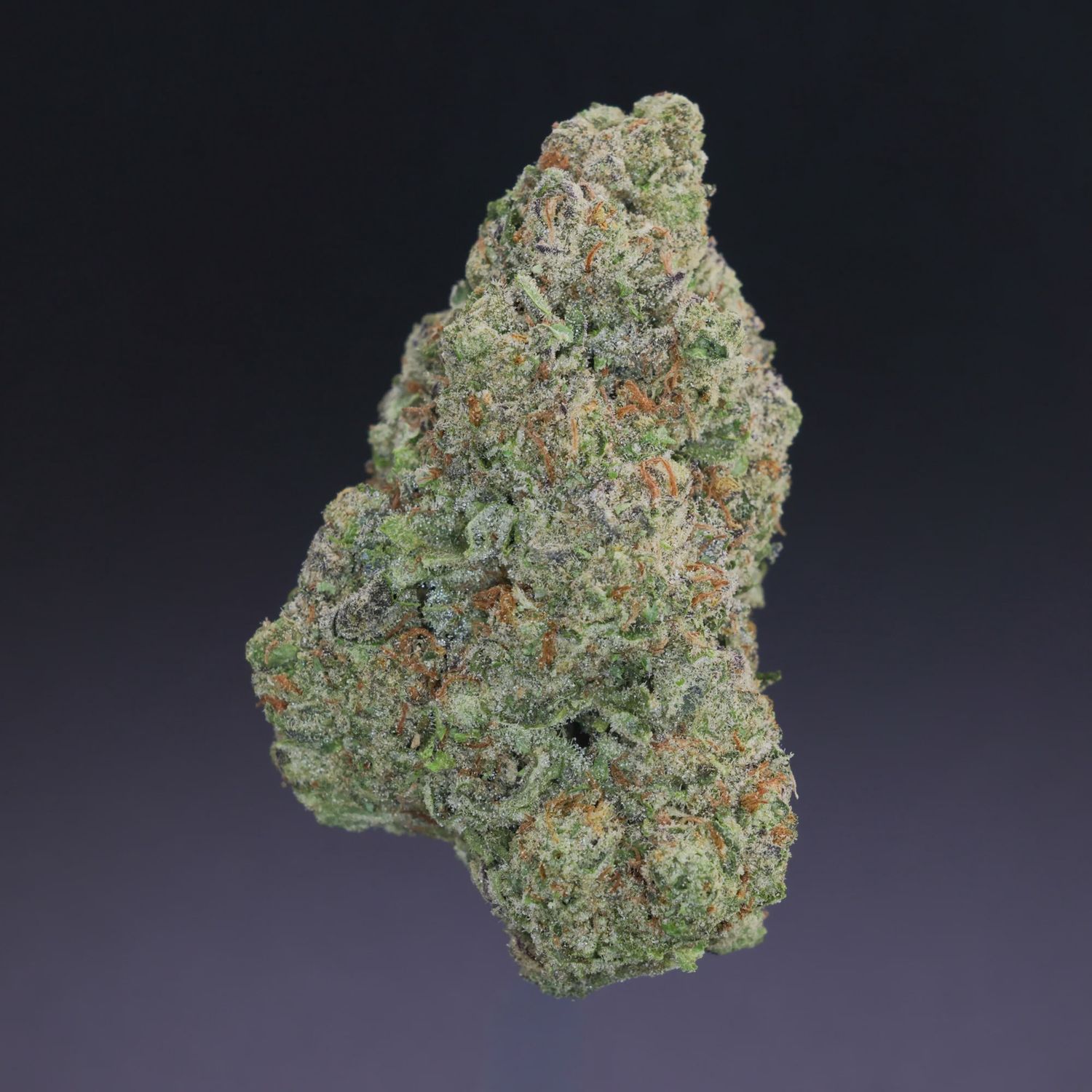 Beach Wedding THCA Flower One Gram (Sativa) (Mid Grade)