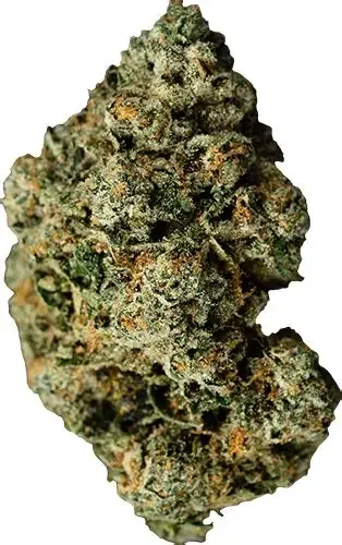 Jet Fuel Gelato THCA Flower  OZ (Sativa) (High Grade)
