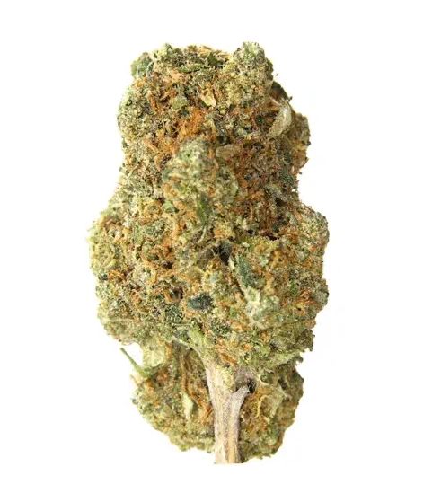 Blue Dream THCA Flower Half OZ (Sativa Dominant Hybrid) (High Grade)