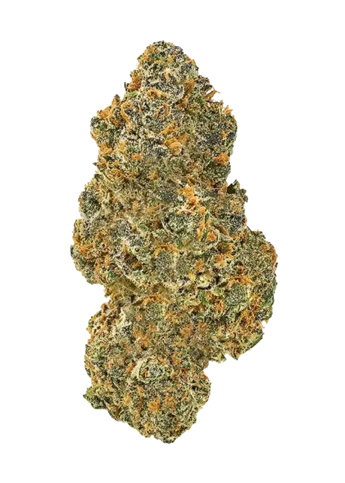 Tropical Cherries THCA Flower 3.5 Grams (Sativa) (Mid-Grade)