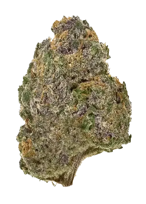 Blackberry THCA Flower One Gram (Hybrid) (Mid Grade)