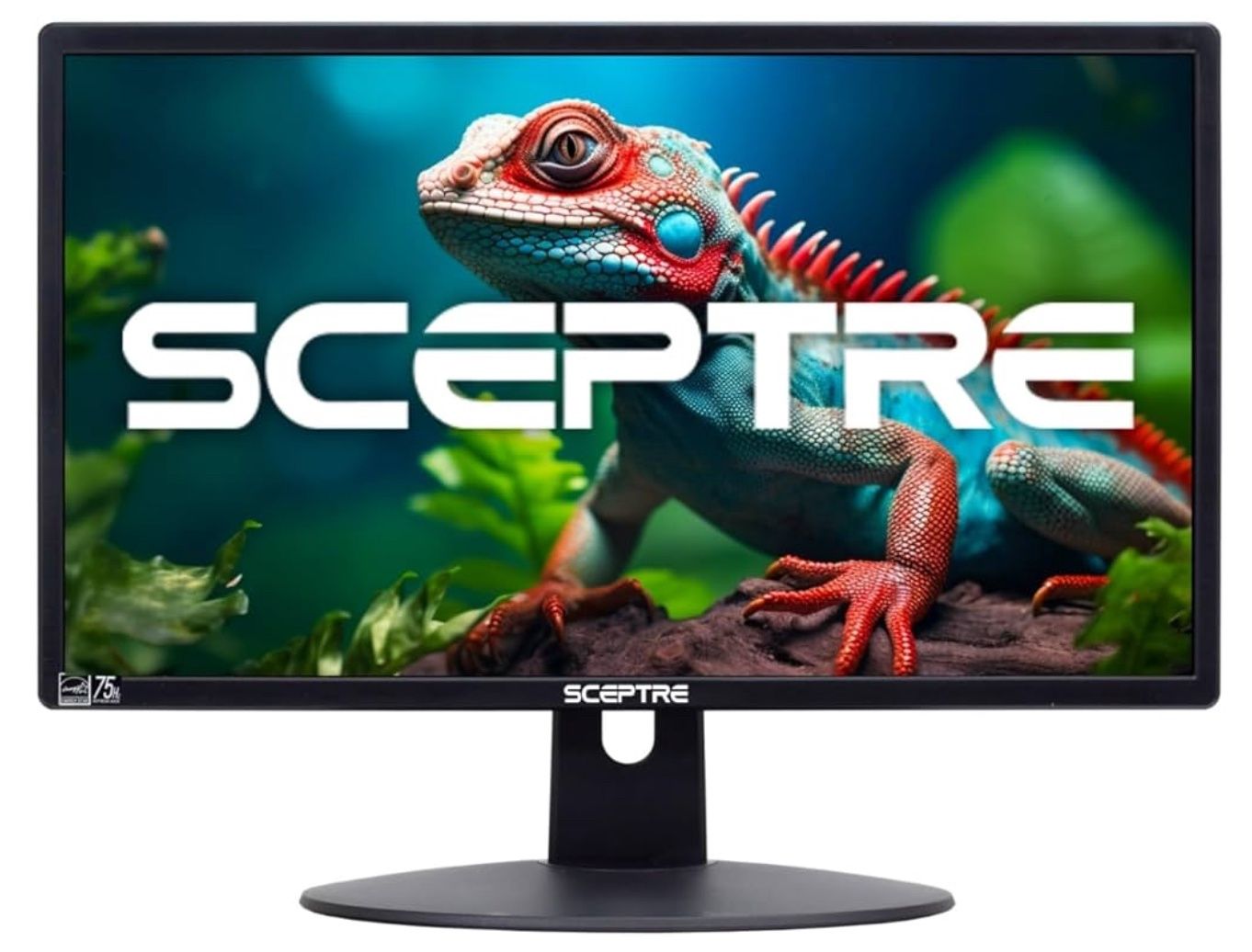 Sceptre 20" 1600x900 75Hz Ultra Thin LED Monitor