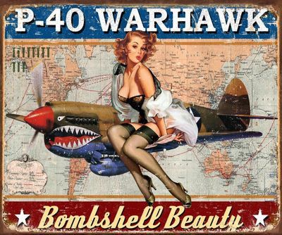 ​#471 - Brand: Warhawk  Sign Material: Tin sign - Size: 12.5 in x 16 in