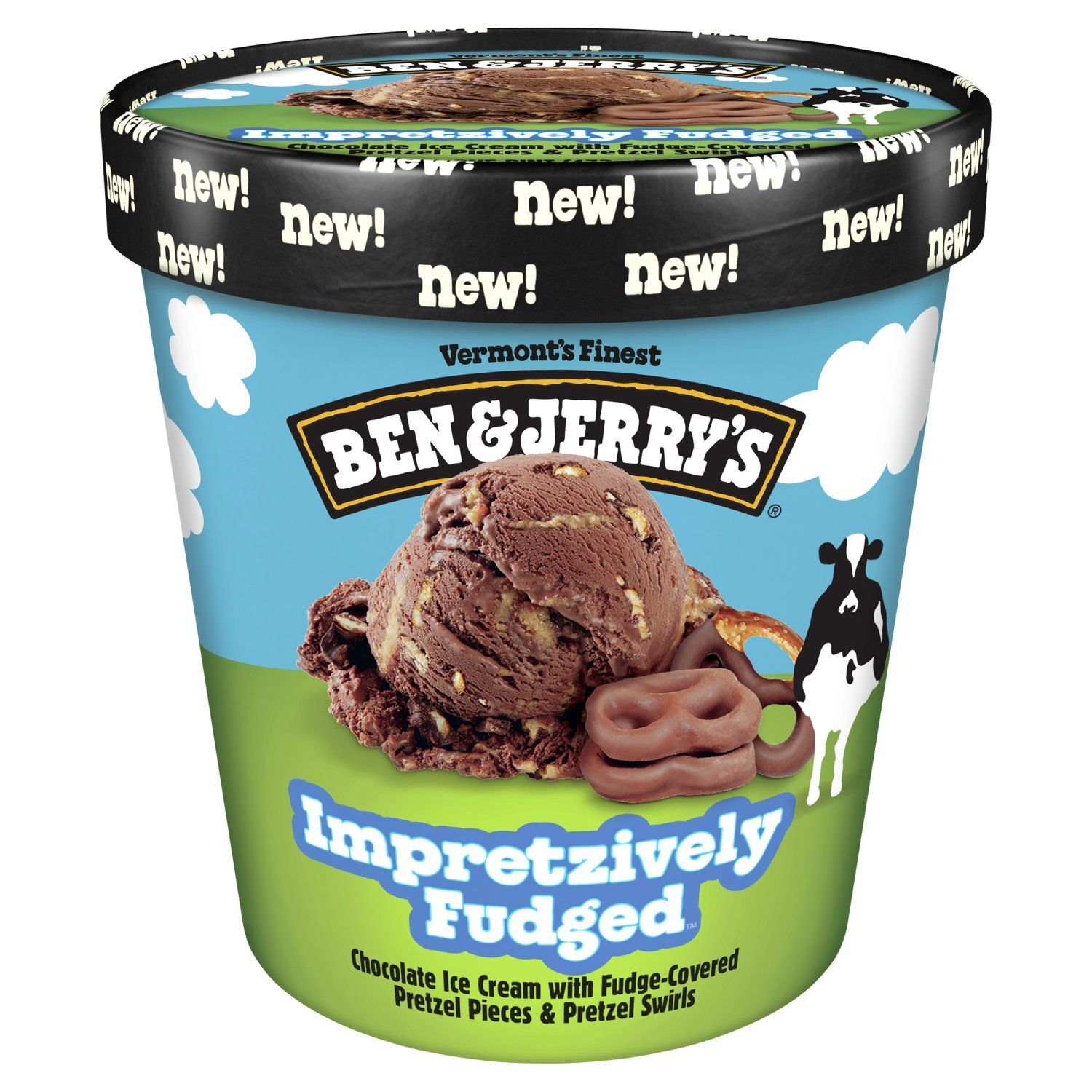 Ben &amp; Jerry&#39;s Impretzively Fudged Chocolate Ice Cream, one pint