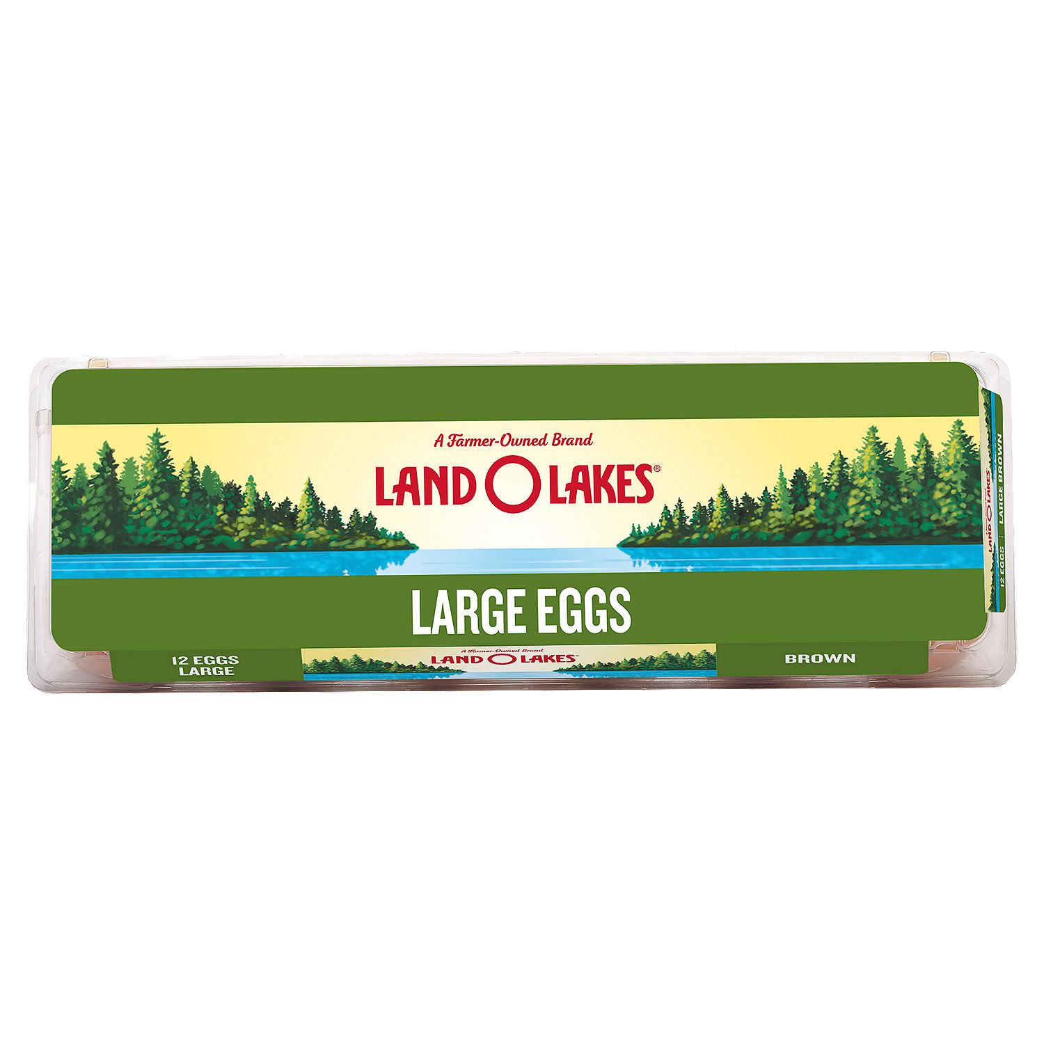 Land O Lakes Brown Eggs, Large, 12 count