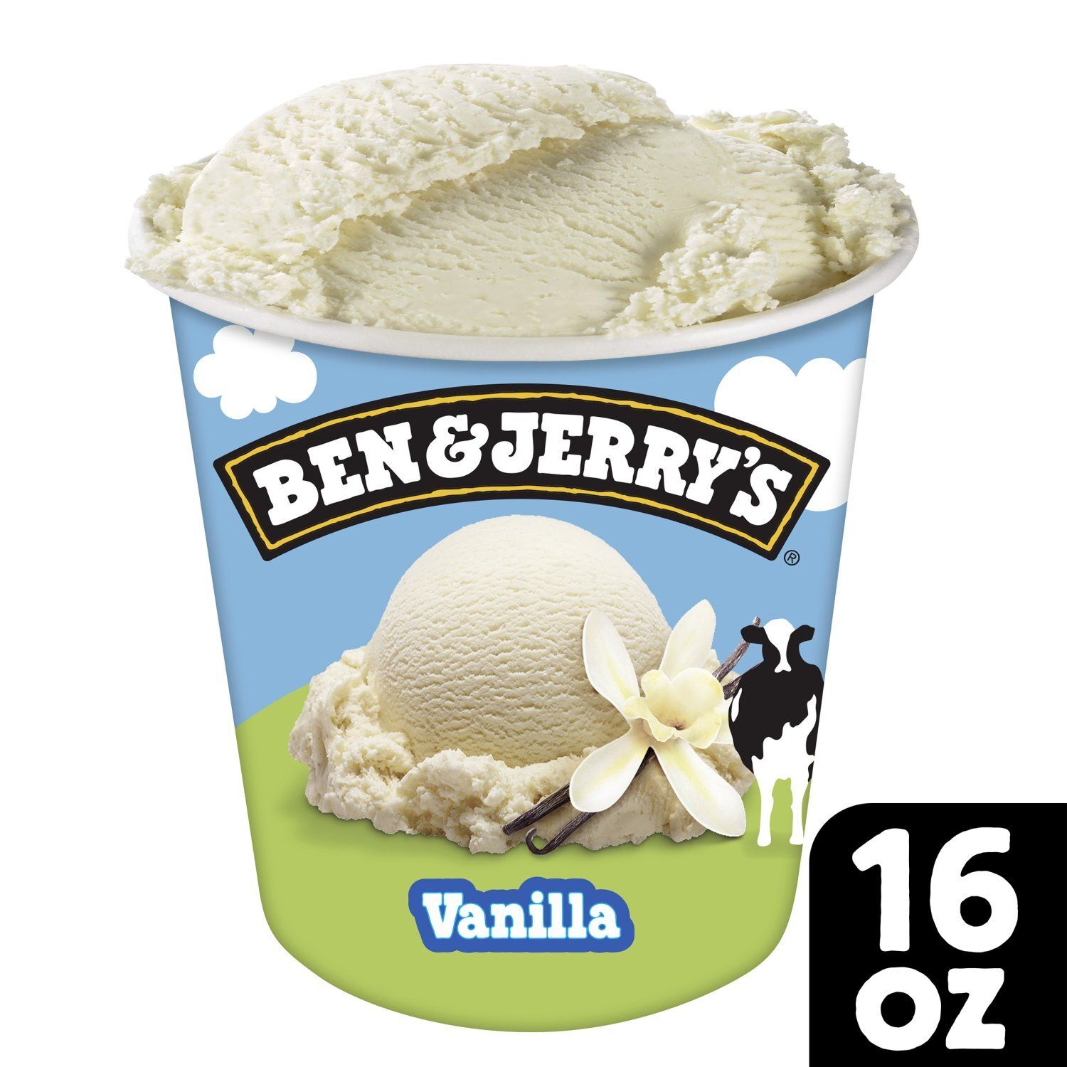 Ben &amp; Jerry&#39;s Vanilla Ice Cream Pint 16 Oz