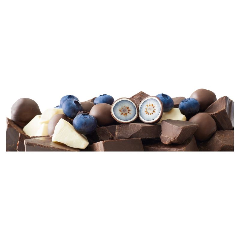 Trü Frü Nature's Blueberries in White &amp; Dark Chocolate, 8 oz