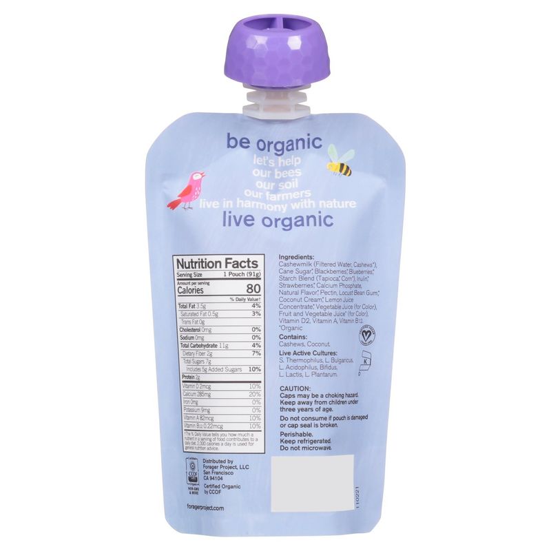 Forager Project Organic Berry Berry Kids Cashewmilk Dairy Free Yogurt Alternative, 3.2 oz