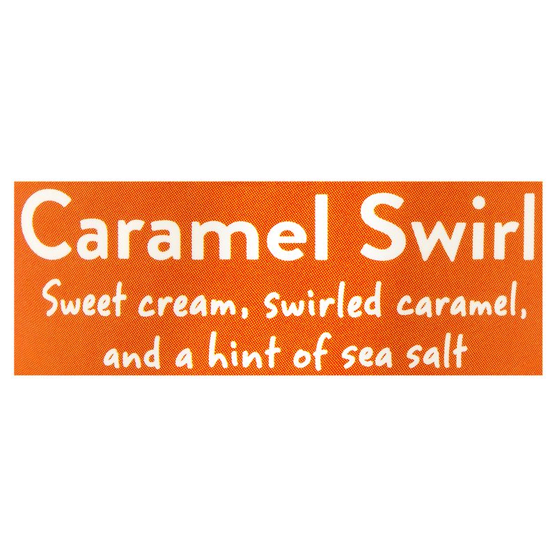 Straus Family Creamery Caramel Swirl Organic Super Premium Ice Cream, 1 pint