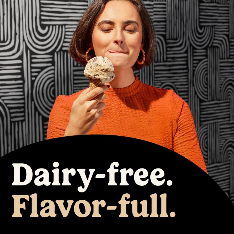 So Delicious Dairy Free Cookie Dough Non-Dairy Frozen Dessert, one pint