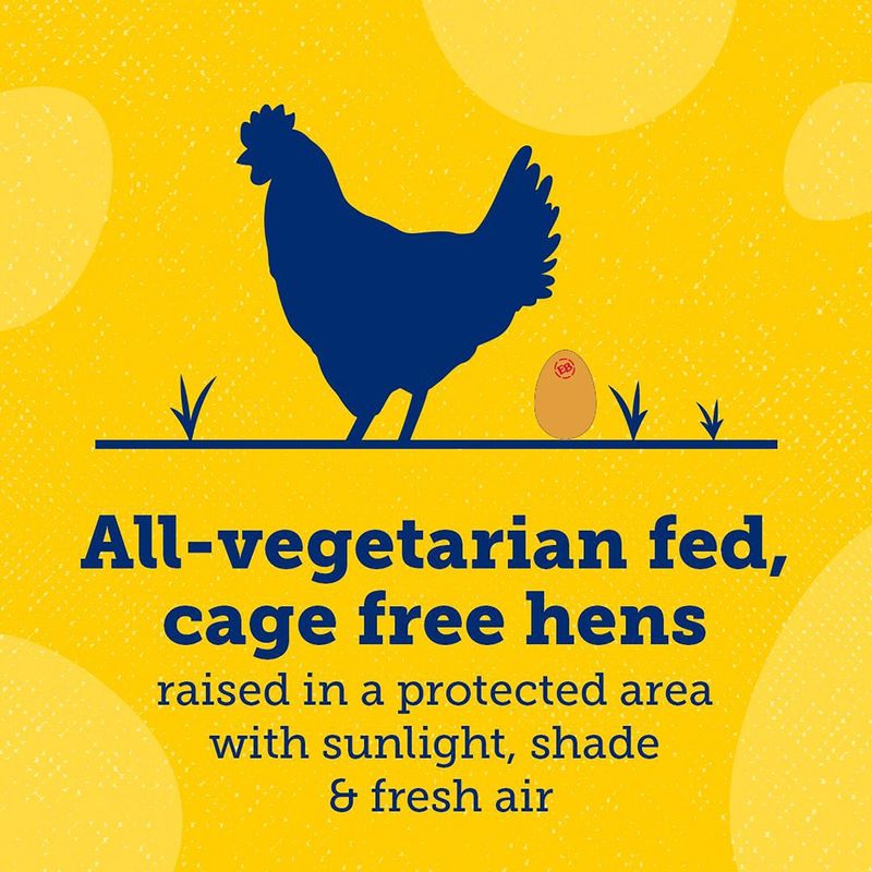 Eggland's Best Cage Free Eggs, Large, 18 count