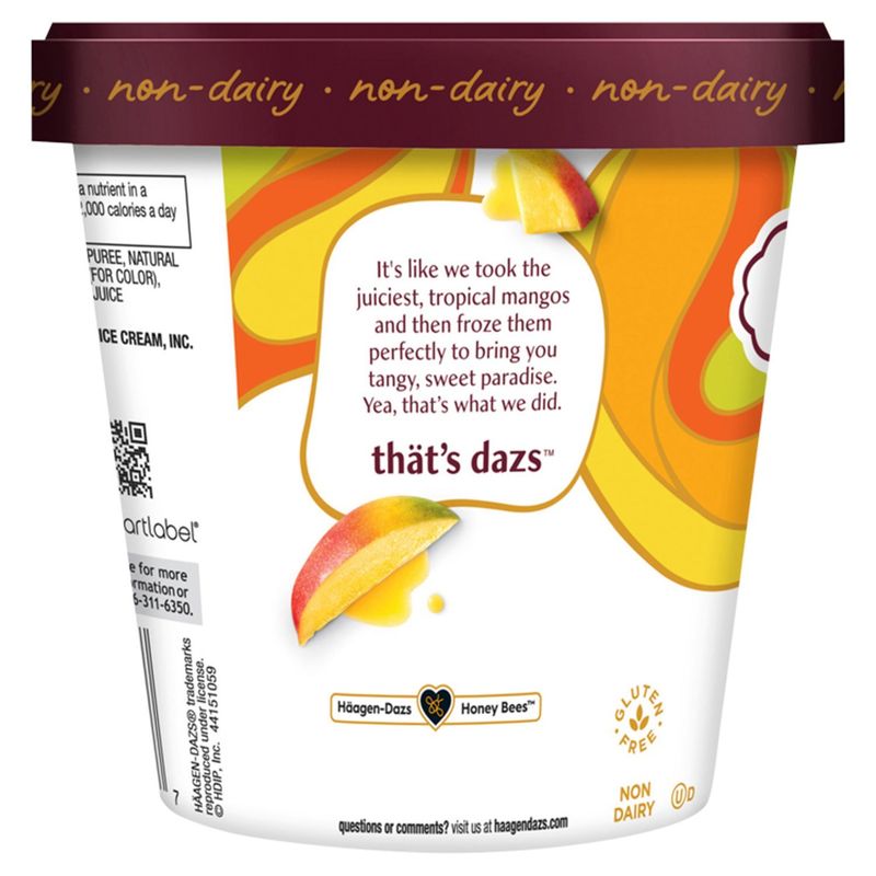 Häagen-Dazs Mango Sorbet, 14 fl oz