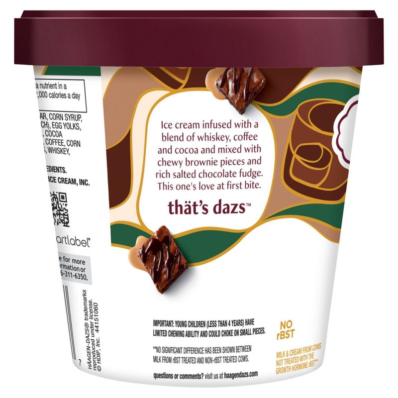 Häagen-Dazs Irish Cream Brownie Ice Cream, 14 fl oz
