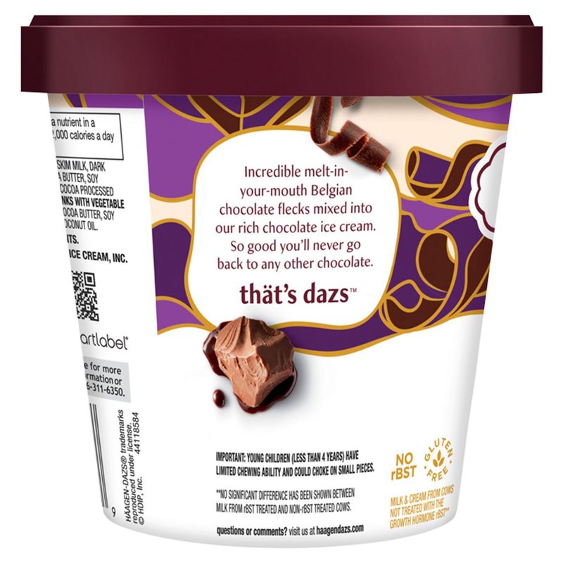 Häagen-Dazs Double Belgian Chocolate Chip Ice Cream, 14 fl oz
