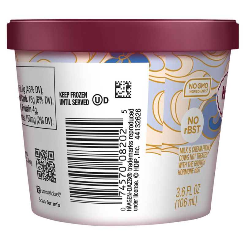 Häagen-Dazs Vanilla Ice Cream, 3.6 fl oz