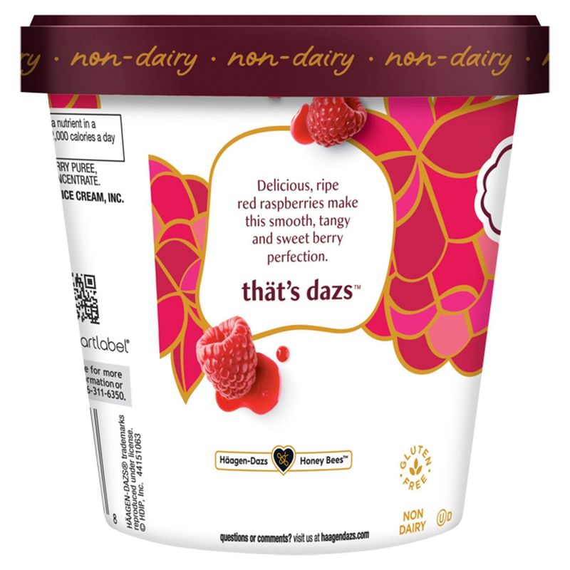 Häagen-Dazs Raspberry Sorbet, 14 fl oz