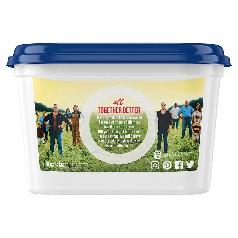 Land O Lakes Butter with Olive Oil &amp; Sea Salt Spread, 13 oz