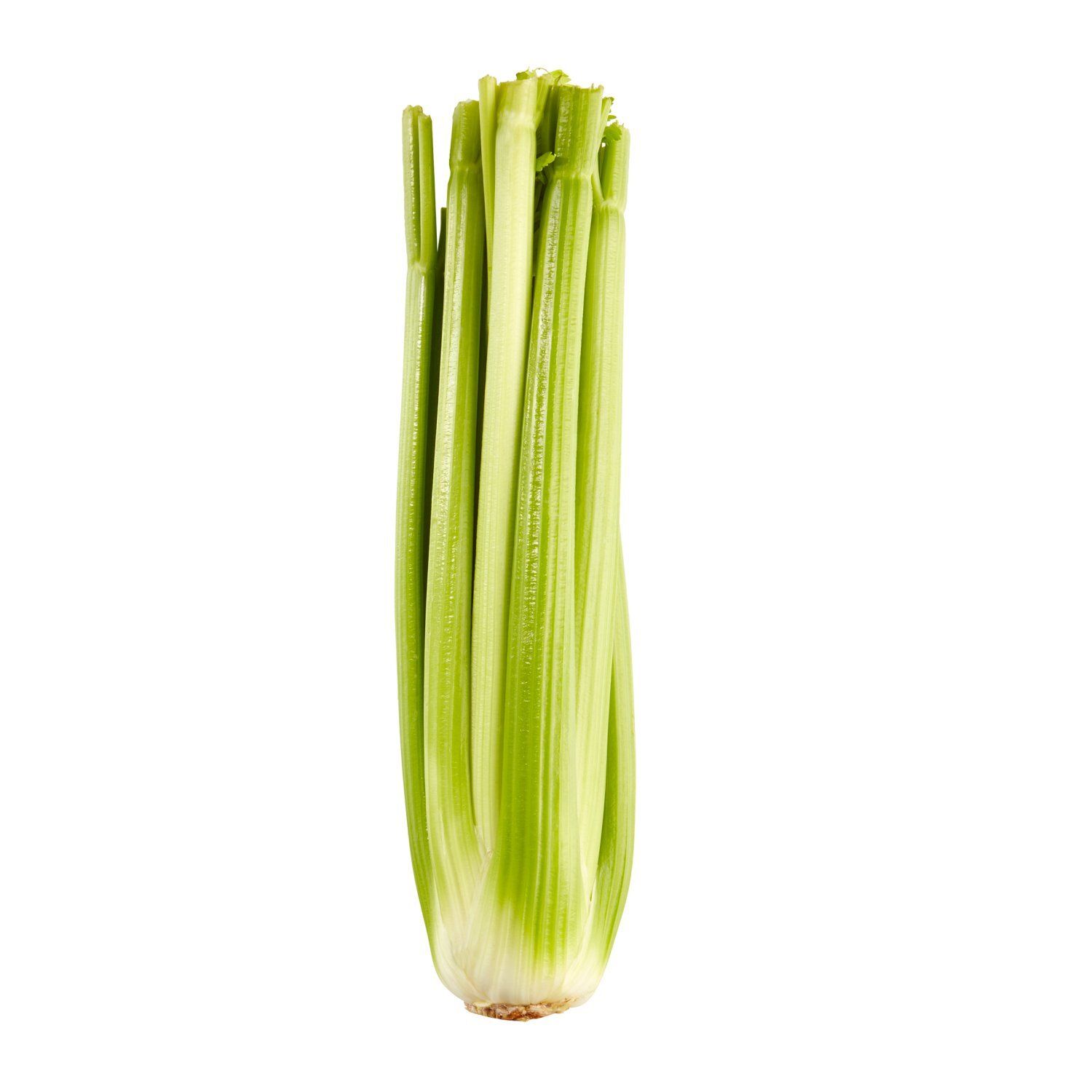 Fresh Celery, each