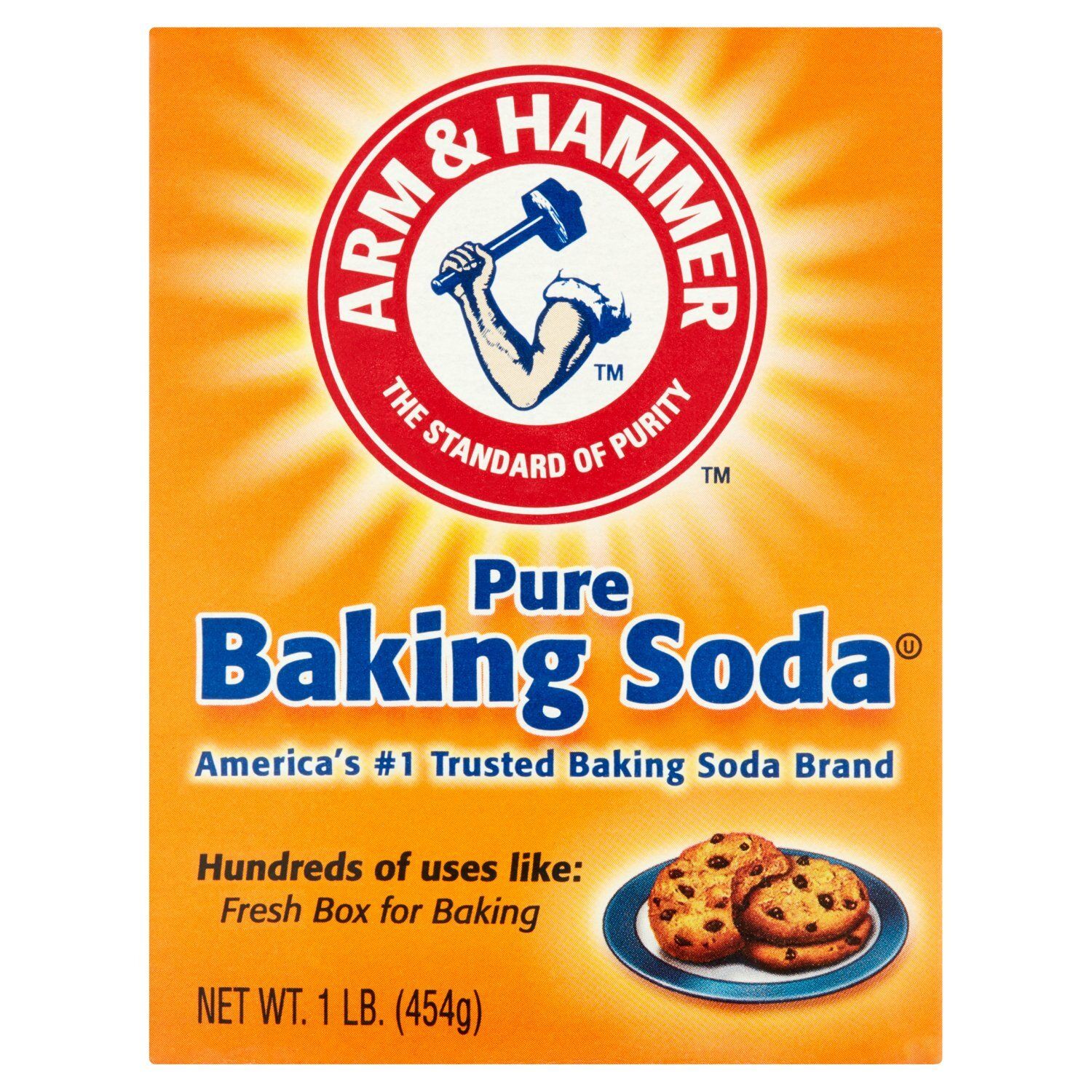 Arm &amp; Hammer Pure Baking Soda, 1 lb