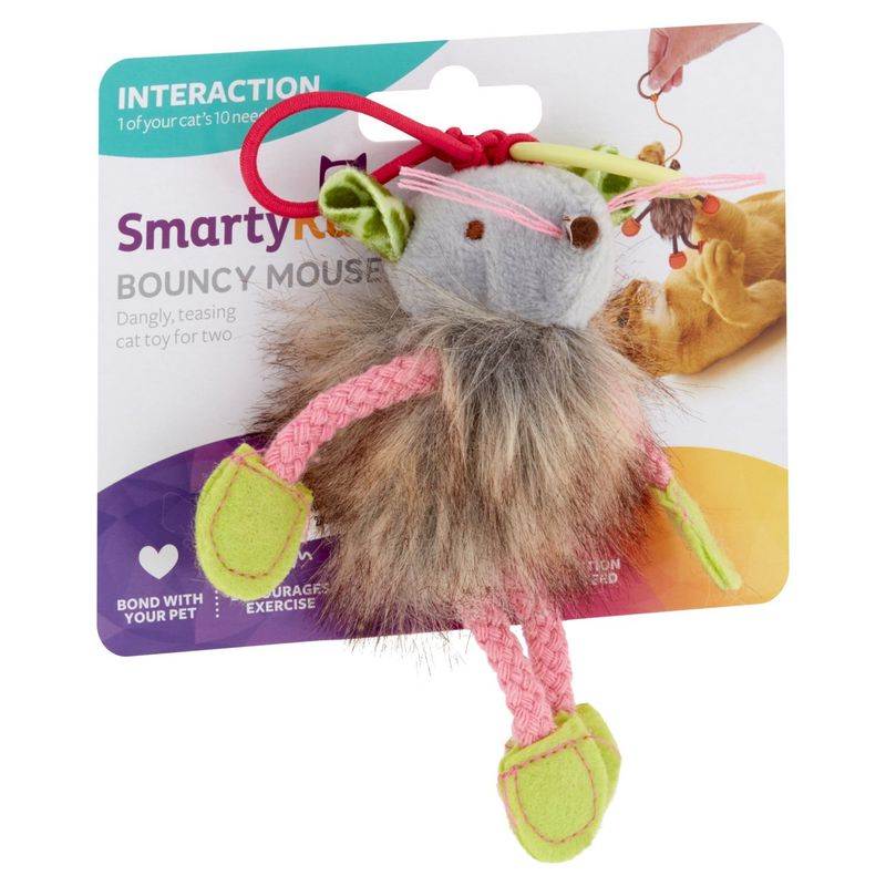 SmartyKat Bouncy Mouse Cat Toy