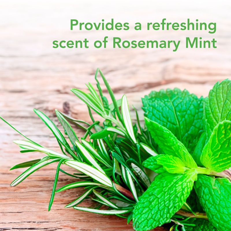 Raid Essentials Rosemary Mint Ant, Spider &amp; Roach Killer 30 Spray, 10 oz