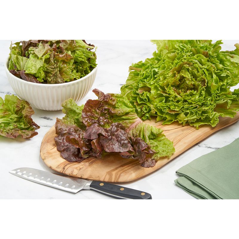 Fresh Organic Red Leaf Lettuce, each