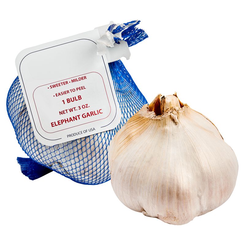 Fresh Elephant Garlic, each