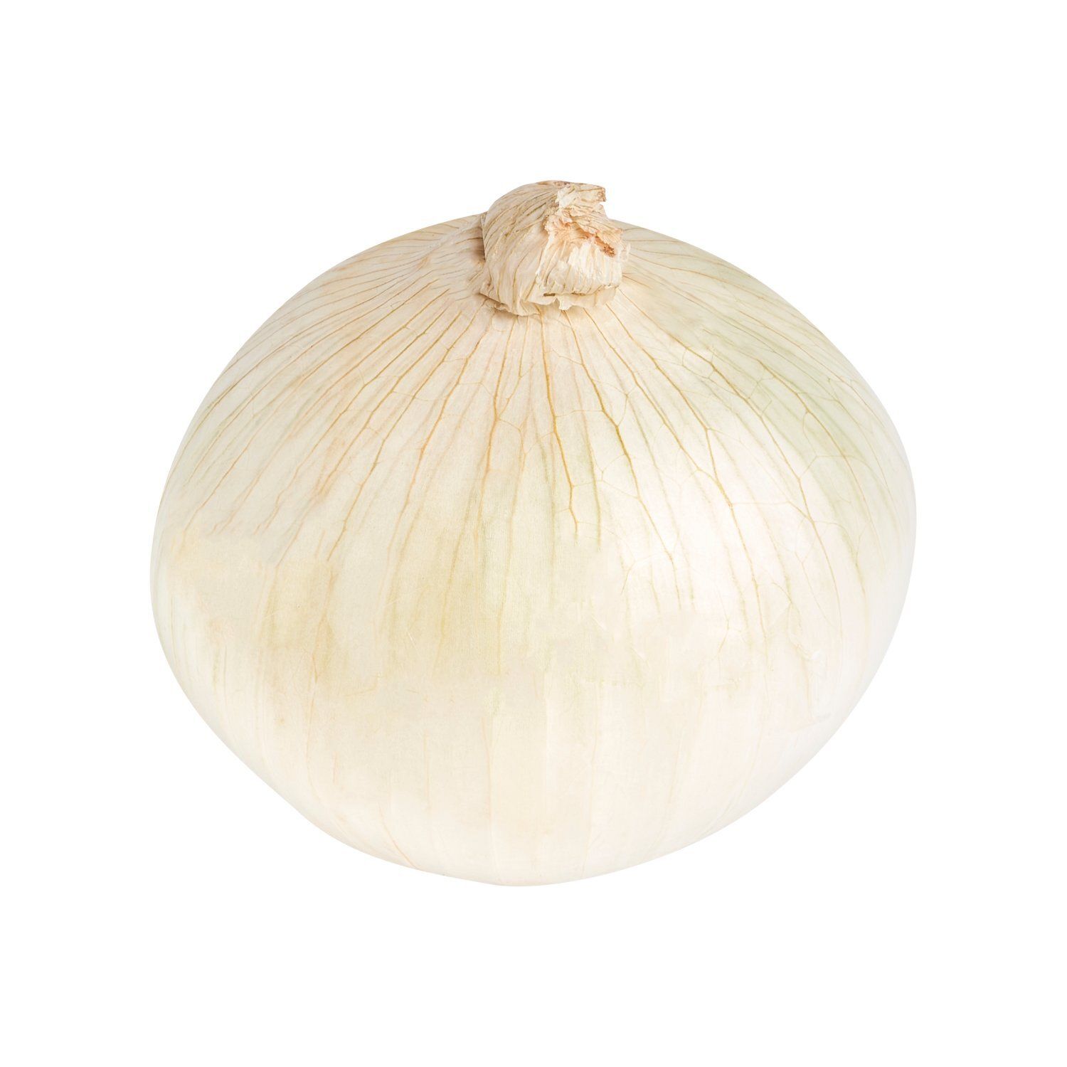 Fresh White Onion