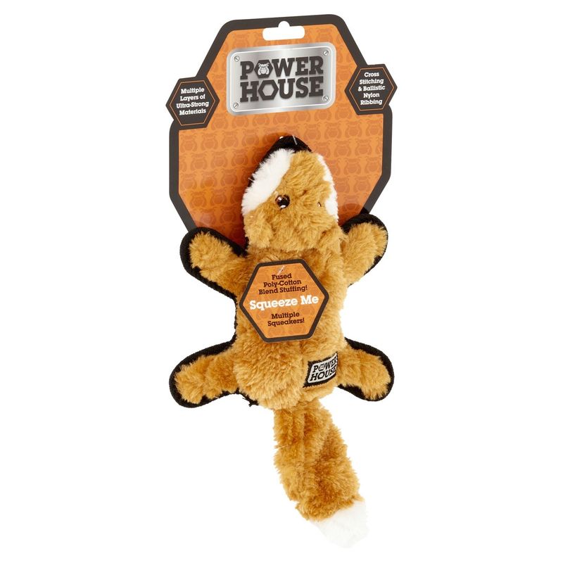 Power House Dog Toy