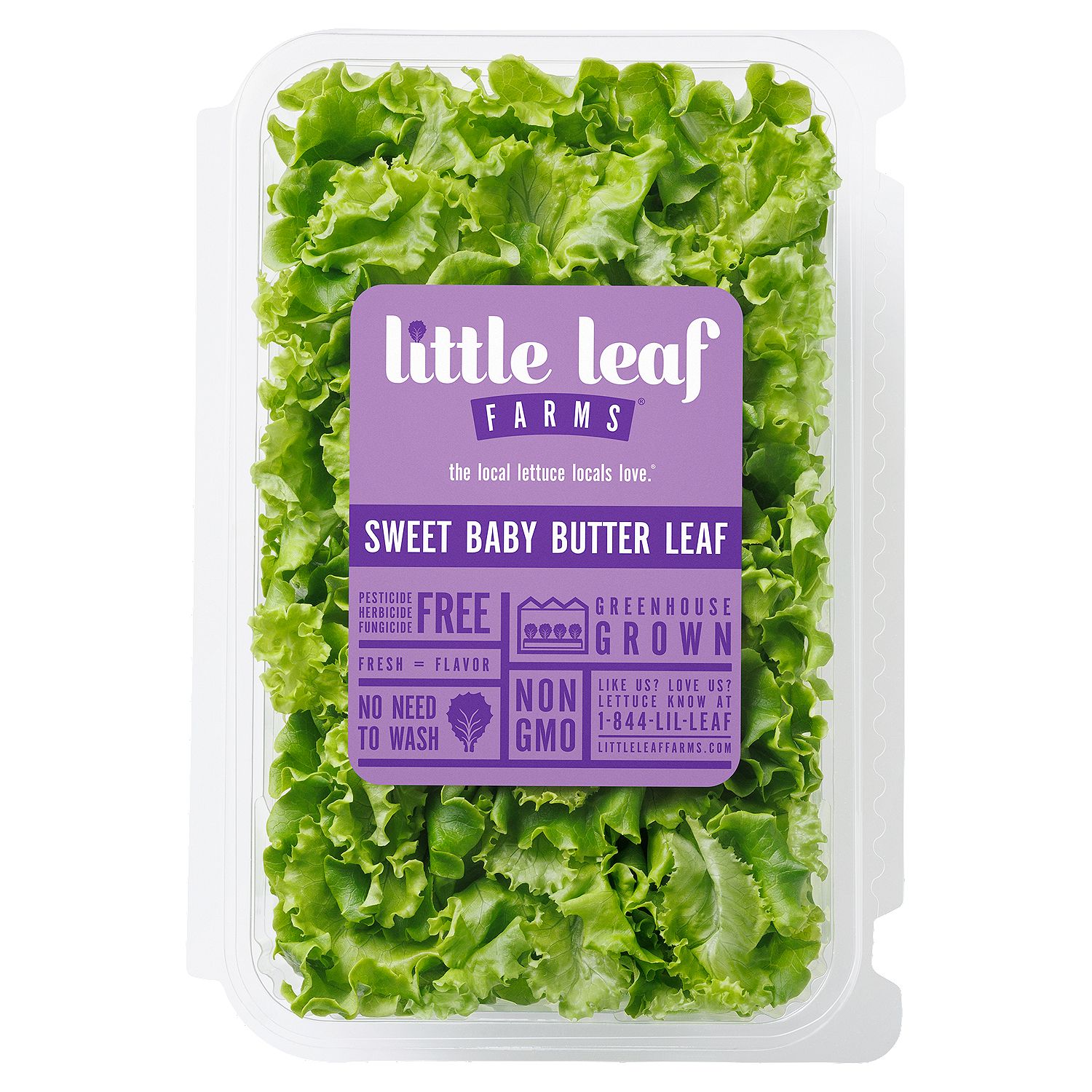Little Leaf Farms Sweet Baby Butter Leaf, 8 oz