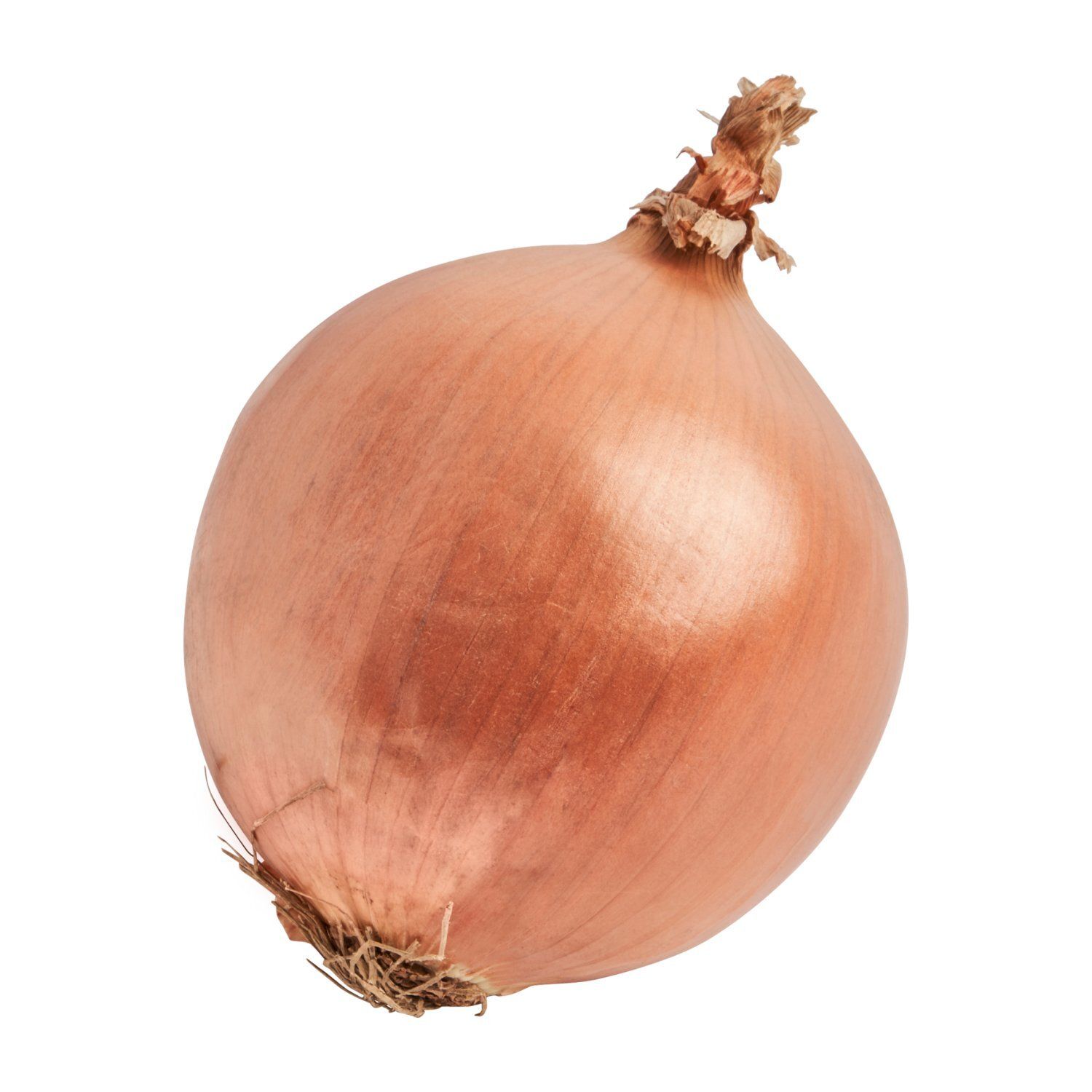 Fresh Spanish Onion