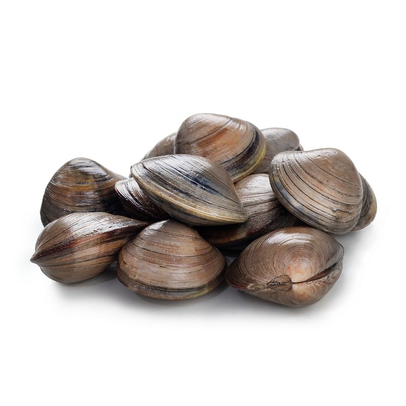 Fresh Littleneck Clams, 50 each