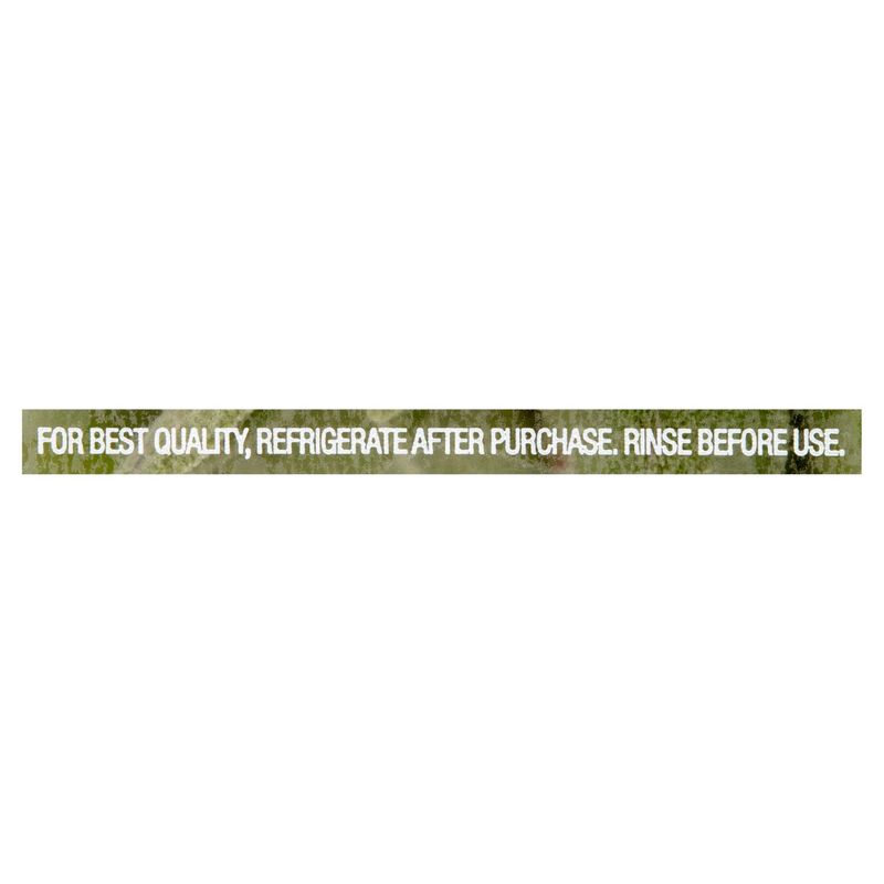 Wholesome Pantry Organic Herbs Sage, 0.66 oz